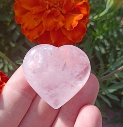 Růženínové SRDCE plné lásky 3,8cm Brazílie