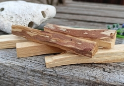 PALO SANTO dřevo - vykuřovadlo - očista kamenů