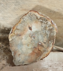 Zkamenělé dřevo plátek 249 g 