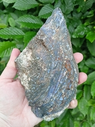 Chalcedon leštěný plátek  Maďarsko - zadní strana přírodní