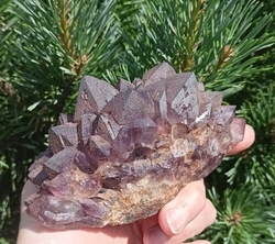 Auralit 23 drúza MISTR 476 g