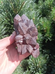 Auralit 23 drúza MISTR 476 g