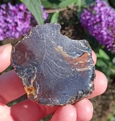 Pryskyřice - Černý Jantar Malajsie 15,57 g