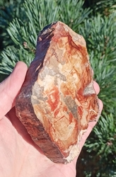 Zkamenělé dřevo plátek 216 g