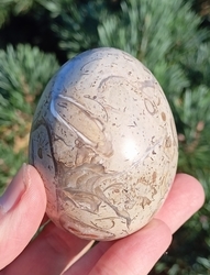 Jaspis - vejce, mořský sediment  178 g