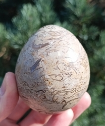 Jaspis - vejce, mořský sediment  211 g  