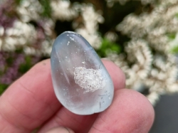 Celestýn troml 7 - 10 g
