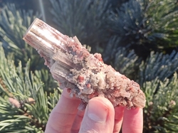 ARAGONIT krystal Španělsko STROM MOUDROSTI 110,3 g