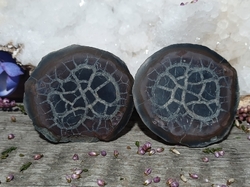 Septárie - Dračí kámen  pecka 101,3 g Maroko
