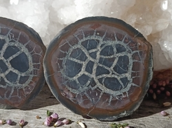 Septárie - Dračí kámen  pecka 101,3 g Maroko