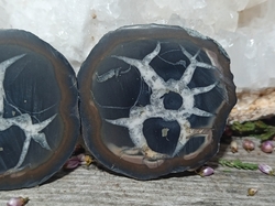 Septárie - Dračí kámen  pecka 45,3 g 