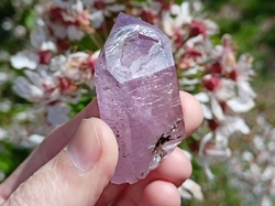 Ametyst mistrovský krystal Mexiko 52 g  - SVĚTELNÝ PORTÁL
