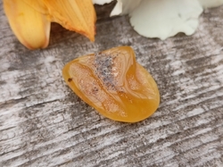 Jantar  3,43 g výběrový