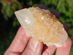 Křemen kaktus 65 g - PRŮVODCE