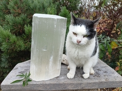 Selenit přírodní 11,3 - 12,3 kg - DĚLO