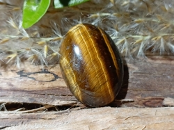 Tygří oko kabošon 4,09 g