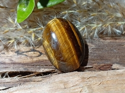 Tygří oko kabošon 4,09 g