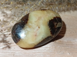 Septárie - dračí kámen, hmatka 46,1 g