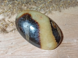 Septárie - dračí kámen, hmatka 46,1 g