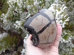 Septárie - dračí vejce 1030 g - DRAČICE