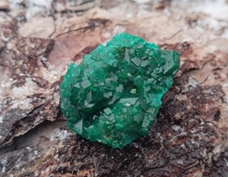 Dioptas drúza Kongo EXQ 13,8 g - SÍLA SRDCE A NITRA