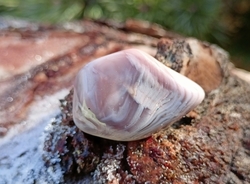 Achát růžový troml 12 g, Botswana 