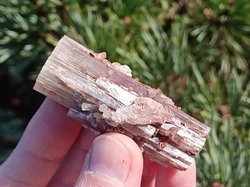 Aragonit krystal 47,1 g, extra kvalita - BRÁNA