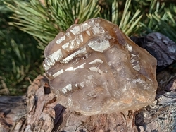Záhněda elestial 191,2 g -TRANSFORMACE