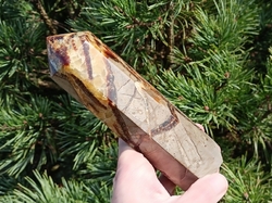 Septárie - dračí kámen špice 620 g - TVOŘIVÉ SPOLEČENSTVÍ