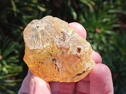 Jantar surový - kopál 17,65 g Madagaskar