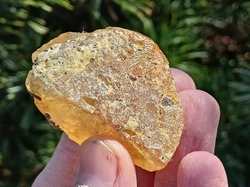 Jantar surový - kopál 17,65 g Madagaskar
