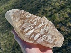 Záhněda elestial 1296 g -  KNIHOVNA