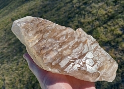 Záhněda elestial 1296 g -  KNIHOVNA