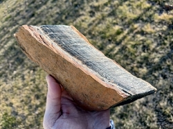 Sokolí oko (tygří) surové 970 g - STOJÍM SI ZA SVÝM