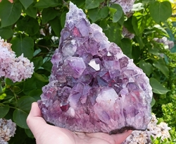 Ametyst drúza Brazílie 2759 g -  ZÁŘIVÁ KATEDRÁLA SVĚTLA
