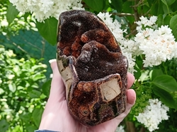 Septárie dračí vejce 1040 g - MOUDRÝ DRAČÍ DĚDEČEK