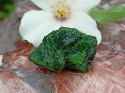 Chromdiopsid krystal surový 14,48 g extra kvalita