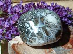 Dendritický opál leštěný 31,93 g - ŽELVA