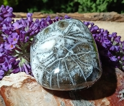 Dendritický opál leštěný 31,93 g - ŽELVA