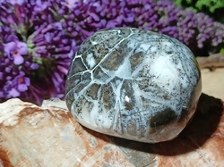 Dendritický opál leštěný 31,93 g - ŽELVA