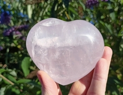 Růženínové SRDCE plné lásky velké 455 g