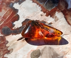 Jantar 1,13 g výběrový