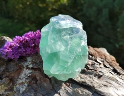  Fluorit zelenomodrý surový 525 g - MISTR REGENERACE