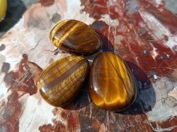 Tygří oko přívěsek 2,8 cm
