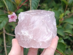 Růženín surový 515 g -  ČISTÁ LÁSKA