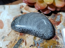 Korál černý 31,8 g Maroko