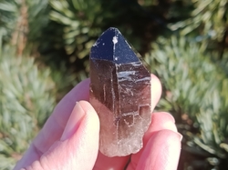 Záhněda morion špice surová 36,9 g - STRÁŽCE ZÁZNAMŮ
