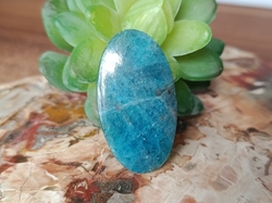 APATIT modrý kabošon 4,2 cm