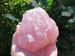 Růženín surový 530 g - SÍLA LÁSKY