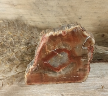 Zkamenělé dřevo plátek 43 g